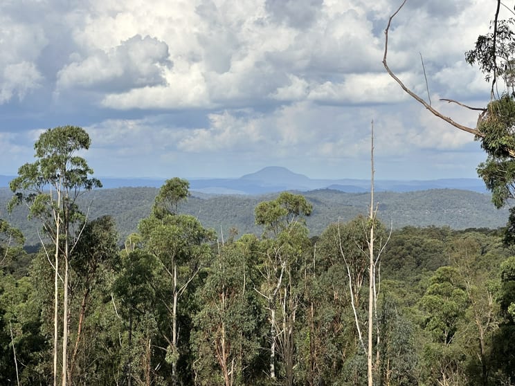 500 Bakers Road Putty NSW 2330 - Image 3