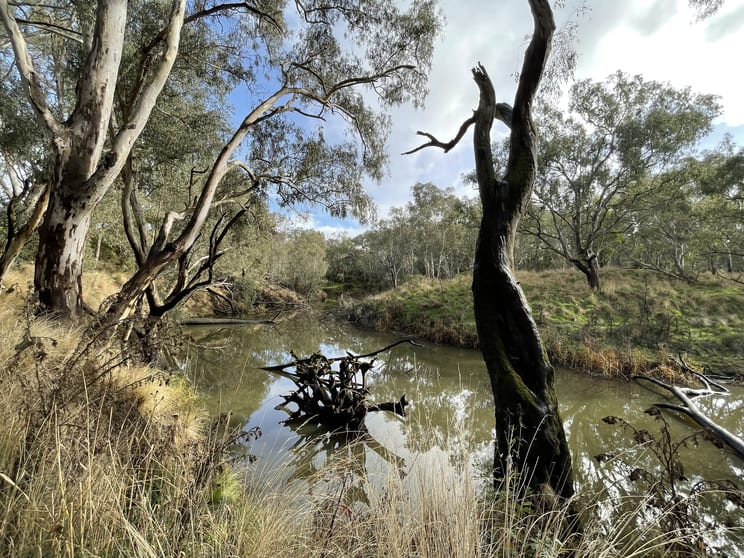 Click to view all images Dartmoor-Hamilton Road Dartmoor VIC 3304 - Image 1