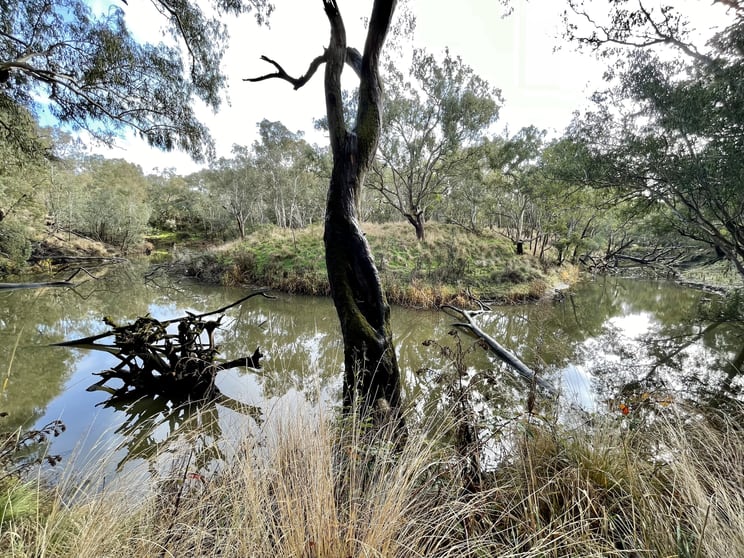 Click to view all images Dartmoor-Hamilton Road Dartmoor VIC 3304 - Image 3