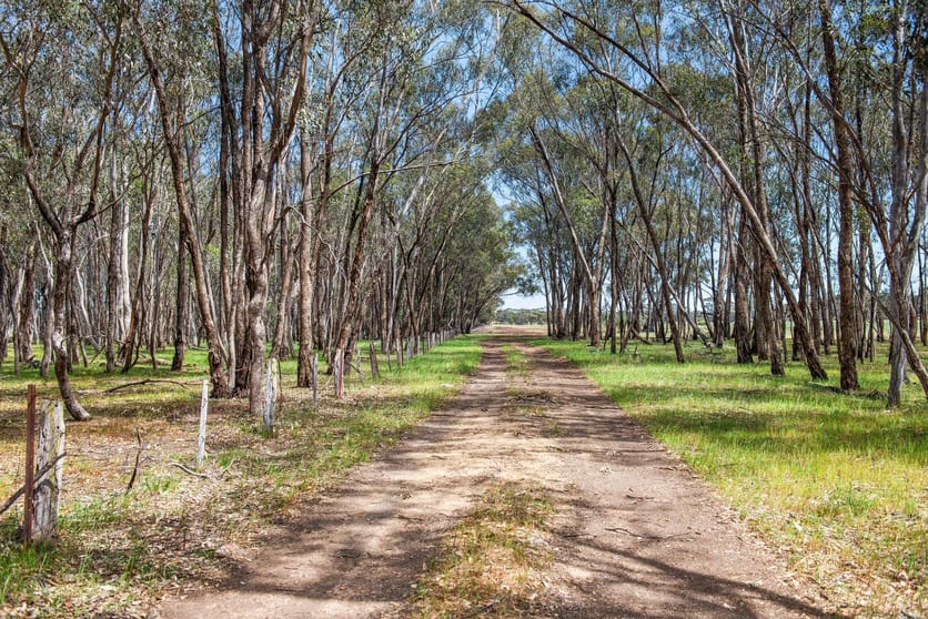 CA 45 Kellys Road Kamarooka VIC 3570 - Image 3