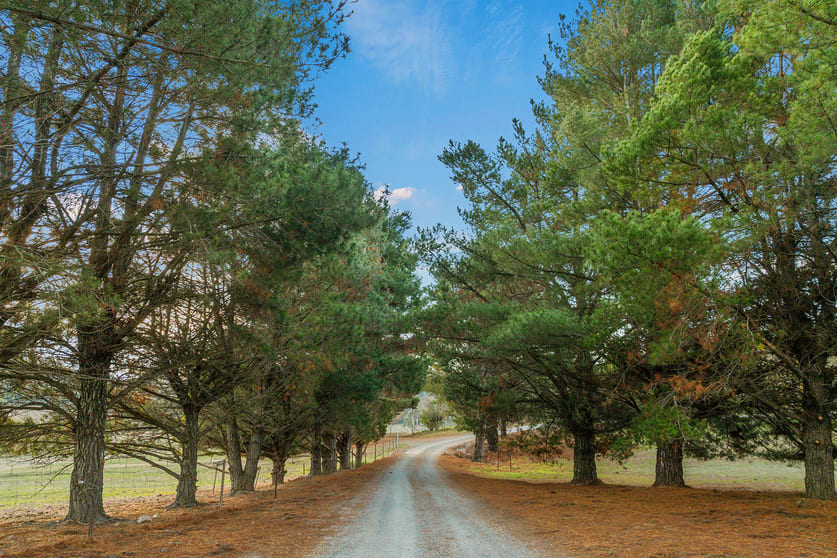 553 Boutchers Drive Yass River NSW 2582 - Image 3