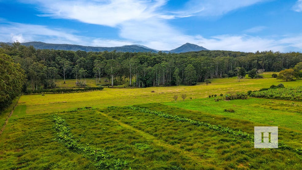 Click to view all images 200 Coopernook Forest Way Lansdowne Forest NSW 2430 - Image 1