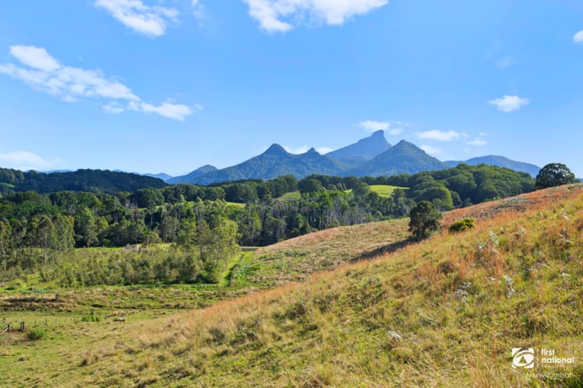 Click to view all images 201 Smiths Creek Road Smiths Creek NSW 2484 - Image 3