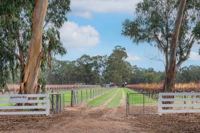 Click to view all images 374 Jindong-Treeton Road Kaloorup WA 6280 - Image 3