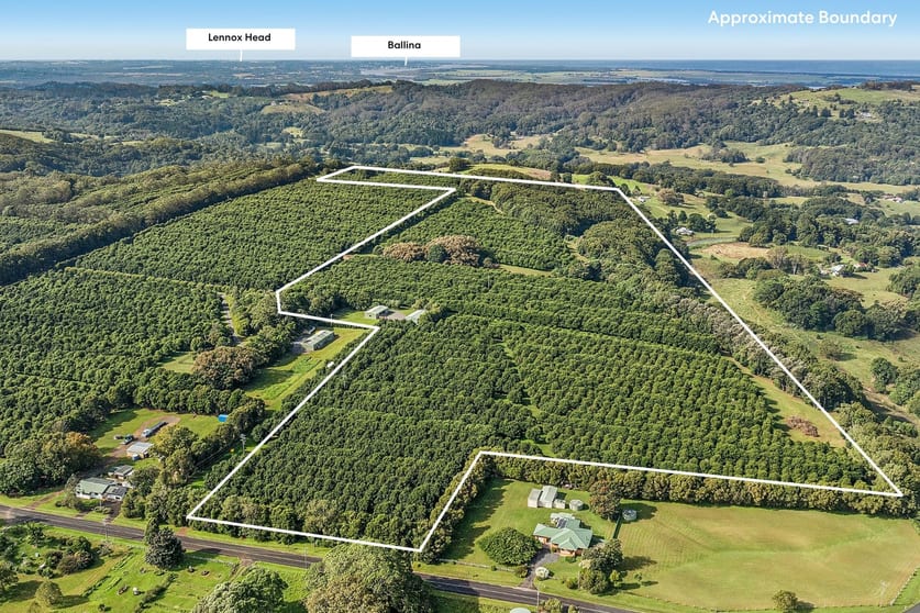 Click to view all images 22 Ficus Lane Dalwood NSW 2477 - Image 2
