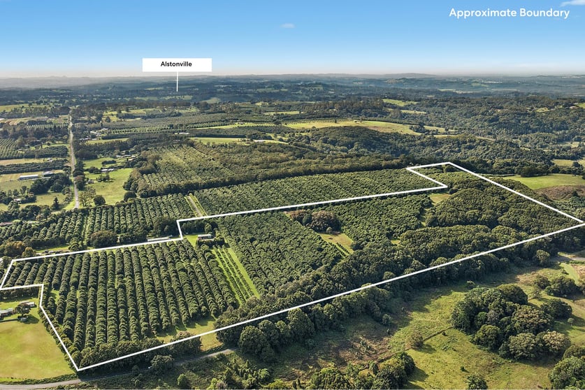 Click to view all images 22 Ficus Lane Dalwood NSW 2477 - Image 3