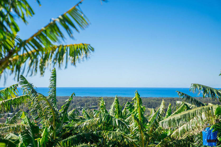 Click to view all images 20 Puhos Road Sandy Beach NSW 2456 - Image 1