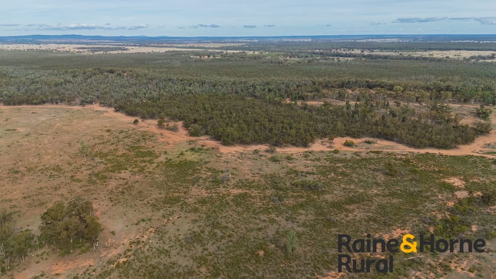 Click to view all images 20 Sarsfield Road Tullamore NSW 2874 - Image 1