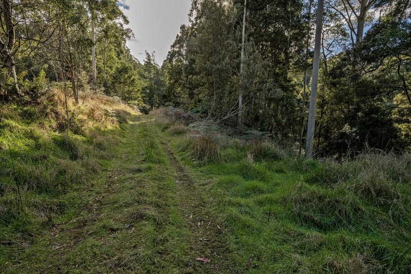Wilmot TAS 7310 - Image 3