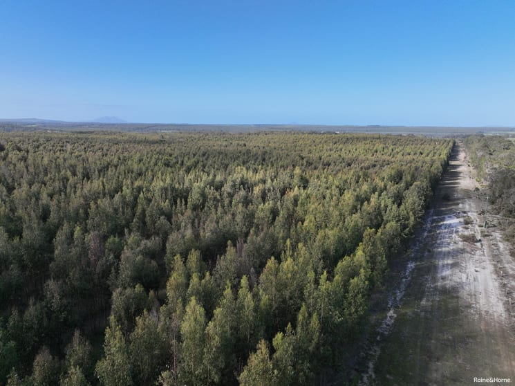 Click to view all images Lot 5809 Takenup Road Napier WA 6330 - Image 3