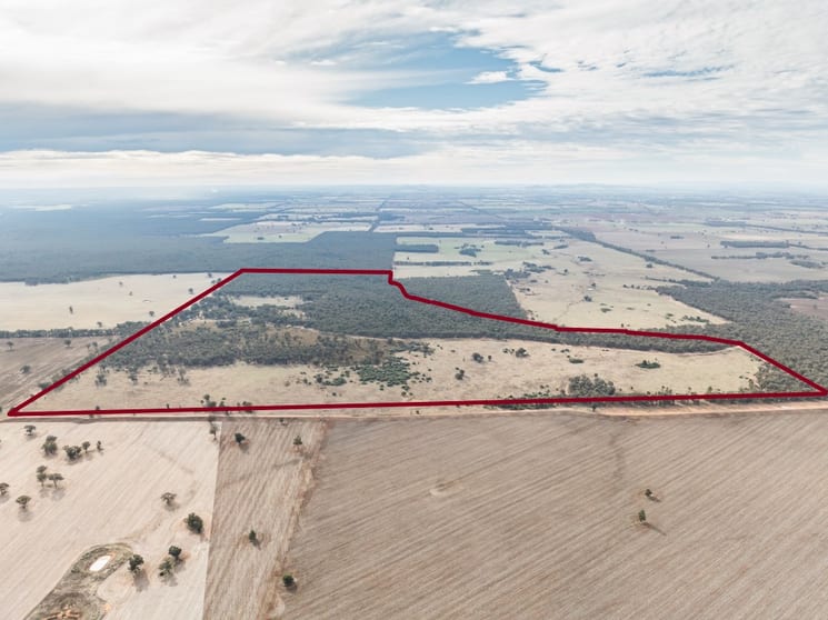 Click to view all images 'Keystone' 39 Williams Road Mimosa NSW 2666 - Image 3