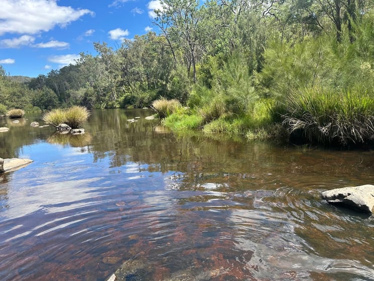 Click to view all images Lot 16 Bonner Road Rivertree NSW 2372 - Image 1