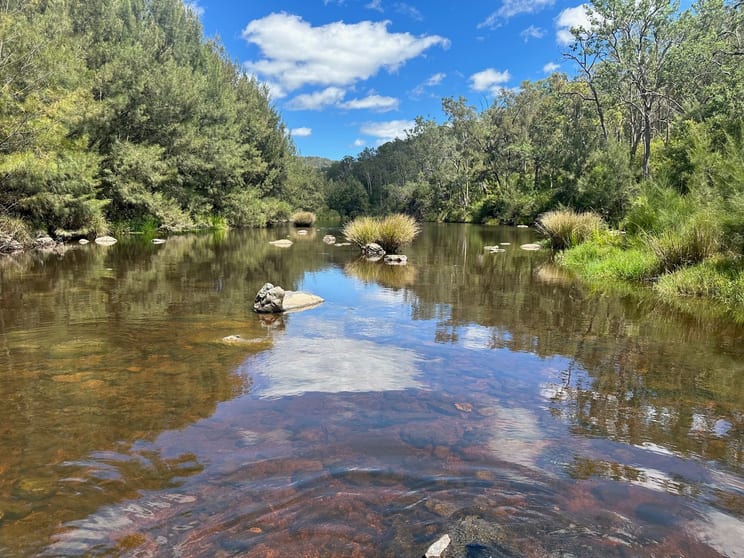 Click to view all images Lot 16 Bonner Road Rivertree NSW 2372 - Image 2