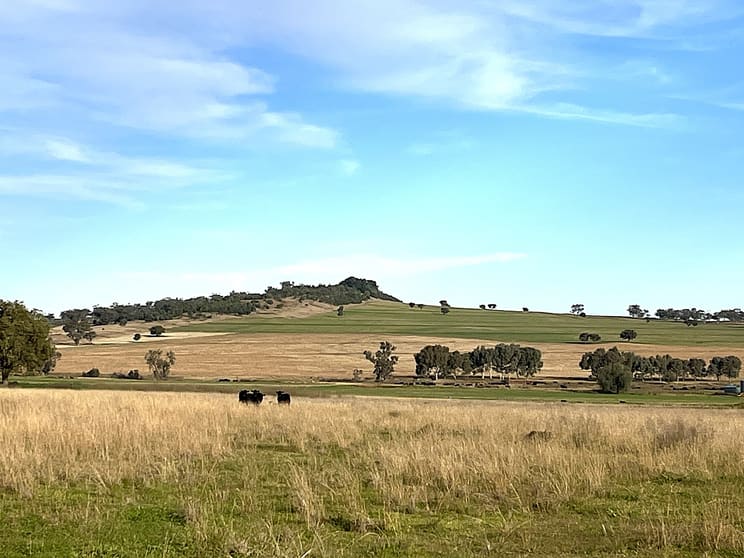 "Thirlmere" 450 Bridges Road Gunnedah NSW 2380 - Image 2