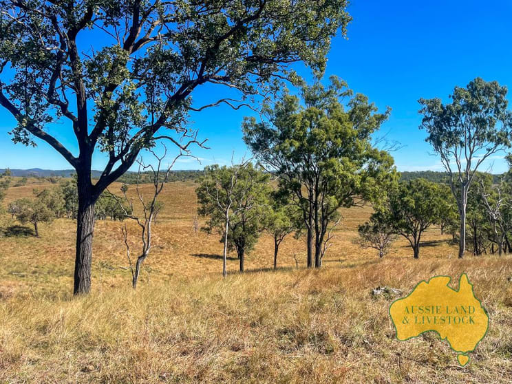 Click to view all images 114 Booinbah Road Tansey QLD 4601 - Image 3