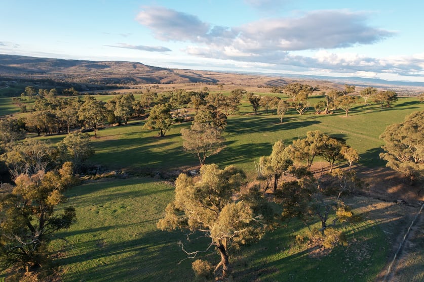 394 Range Hills Road Bathurst NSW 2795 - Image 3