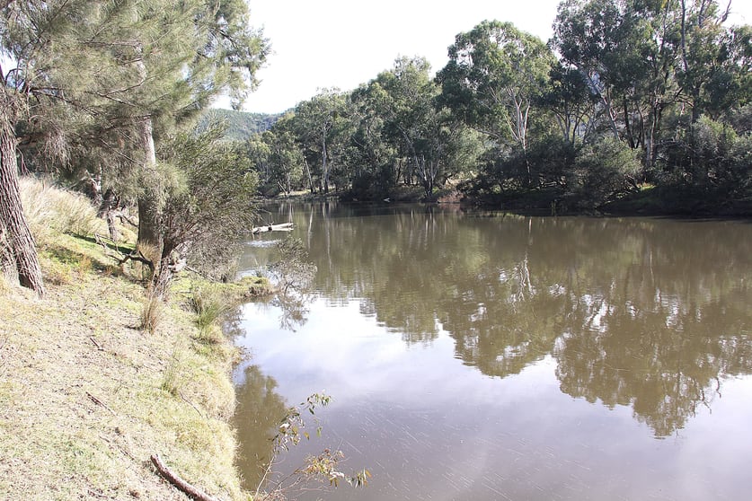 Click to view all images Lot 36 Reedy Creek Road Tenterfield NSW 2372 - Image 3