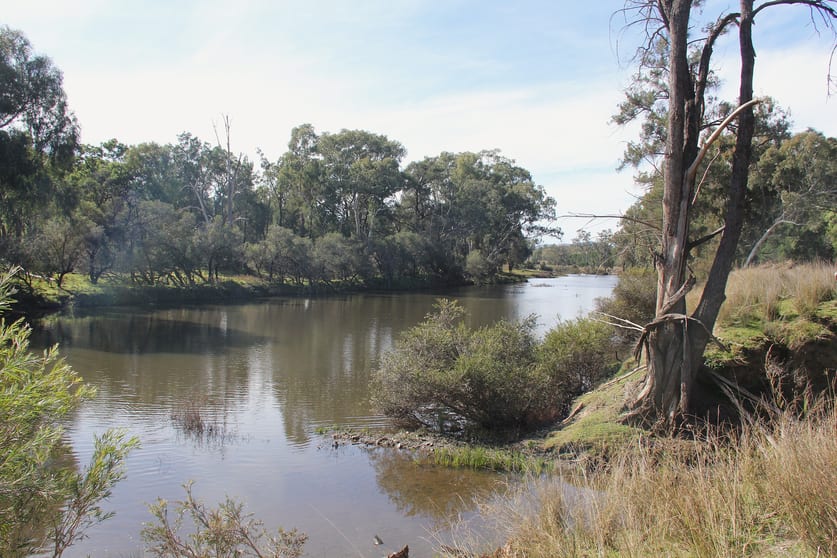 Click to view all images Lot 36 Reedy Creek Road Tenterfield NSW 2372 - Image 2