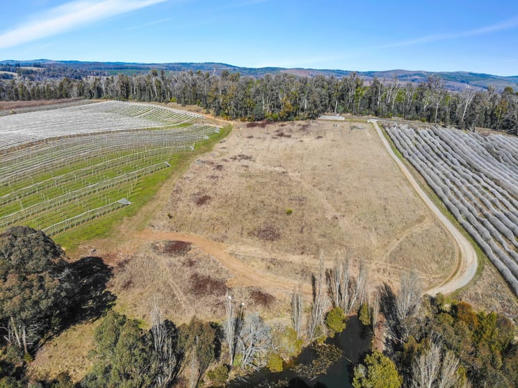 Click to view all images 258 Lower Bago Road Batlow NSW 2730 - Image 3