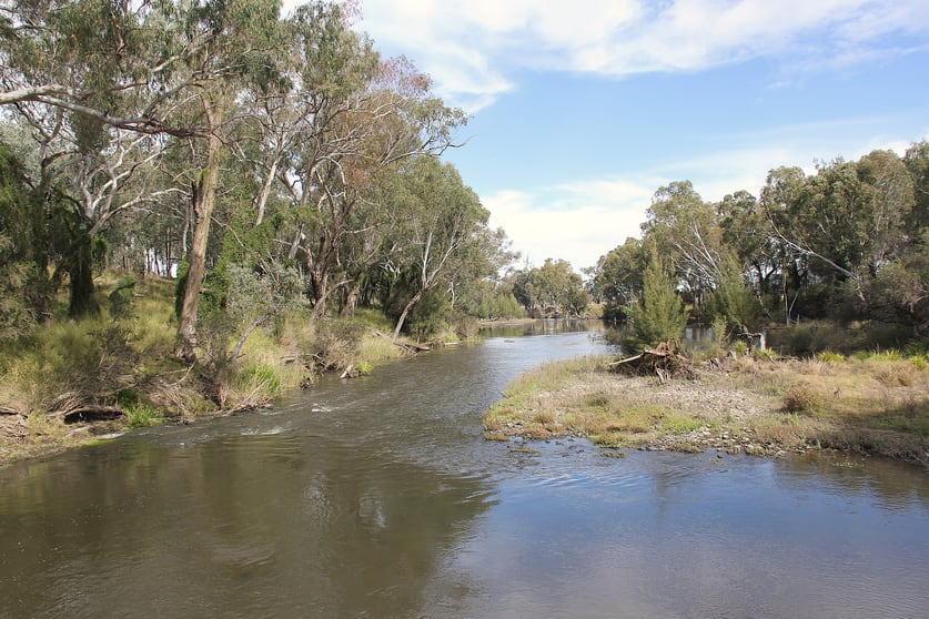 Click to view all images 6341A Bruxner Way Mingoola NSW 2372 - Image 1