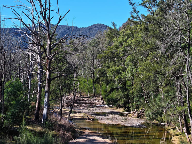 Lot 4 Araluen Road Araluen NSW 2622 - Image 2