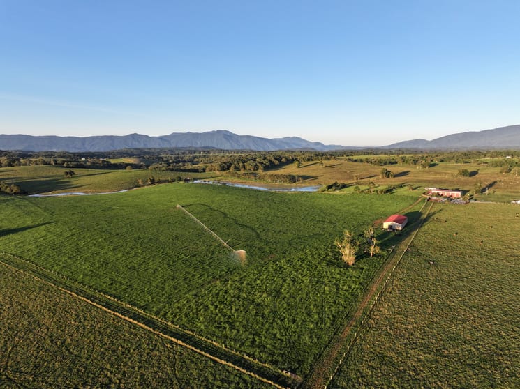 476 Russell Road North Johnstone QLD 4885 - Image 2