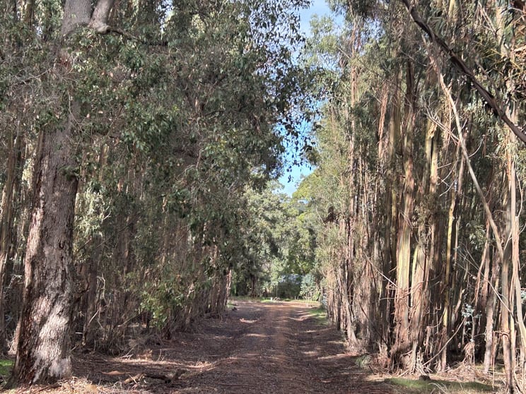 Lot 3 Bramley River Road Osmington WA 6285 - Image 1
