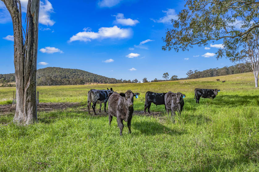 Click to view all images 405 Dargavilles Road Nabiac NSW 2312 - Image 3