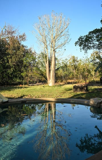 Click to view all images 729 Reebeds Road Darwin River NT 0841 - Image 1