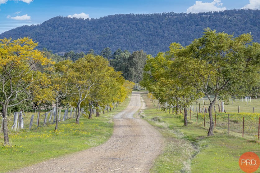 Click to view all images 98 Torryburn Road Torryburn NSW 2421 - Image 2