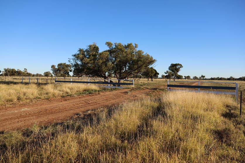 Click to view all images 3654 Emmet Road Blackall QLD 4472 - Image 2