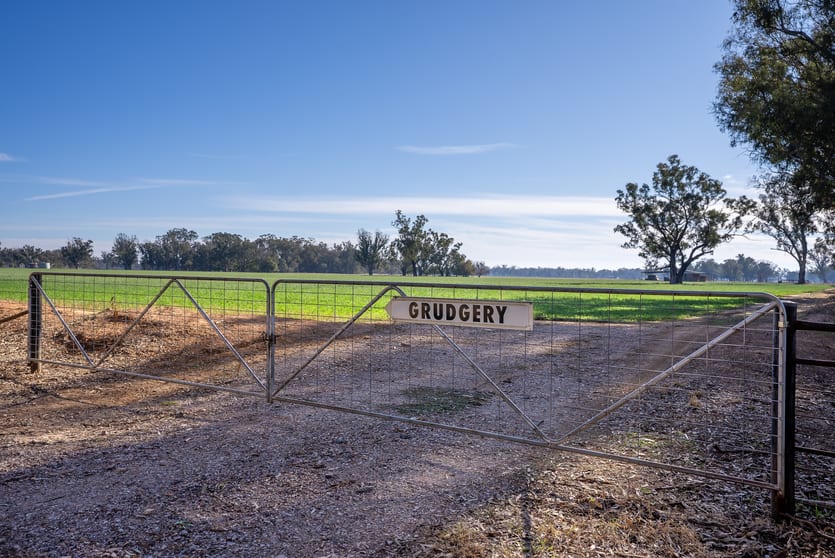 Click to view all images 2594 Bedgerabong Road Forbes NSW 2871 - Image 2