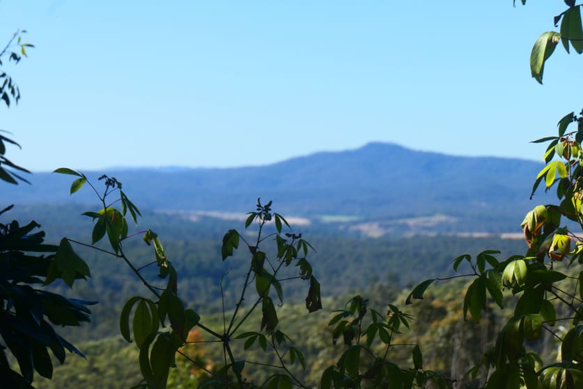 Click to view all images 70 Grand View Road Ewingar NSW 2469 - Image 2
