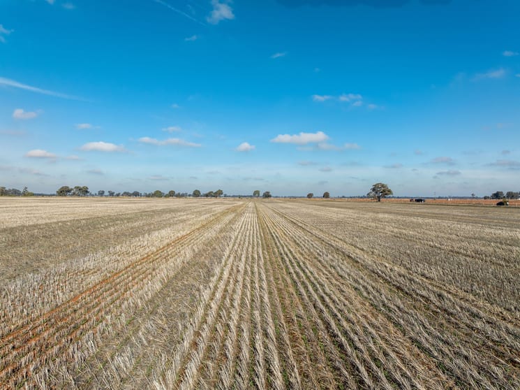 Click to view all images Christies Road Katunga VIC 3640 - Image 1
