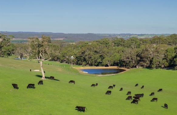 Click to view all images 832 Range Road The Range SA 5172 - Image 3