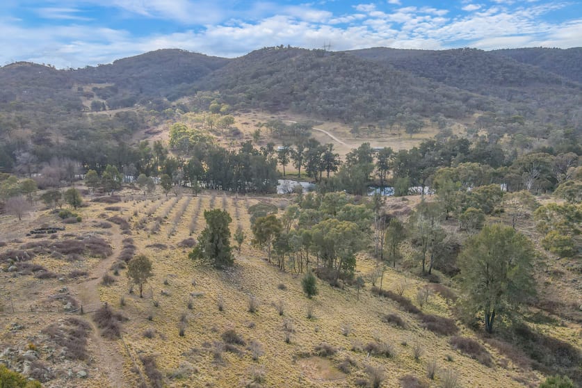 Click to view all images 313 Pine Ridge Road Rock Forest NSW 2795 - Image 3