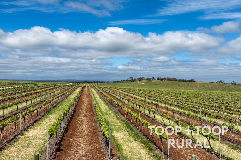 Click to view all images 555 Gomersal Road Gomersal SA 5352 - Image 2
