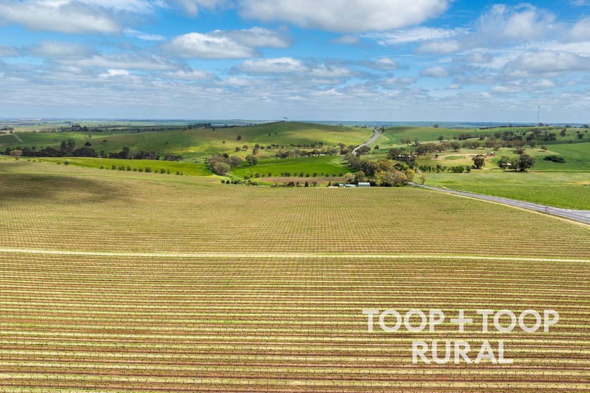 Click to view all images 555 Gomersal Road Gomersal SA 5352 - Image 3