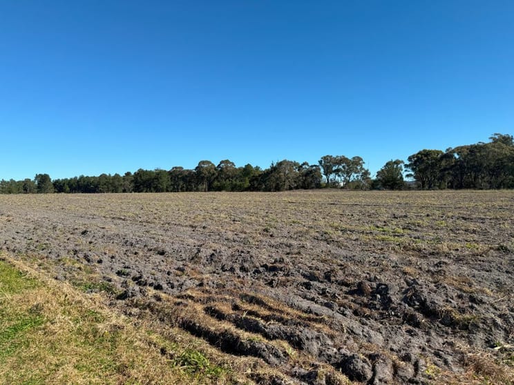 Click to view all images 44 Mcnicol Lane Cottonvale QLD 4375 - Image 2