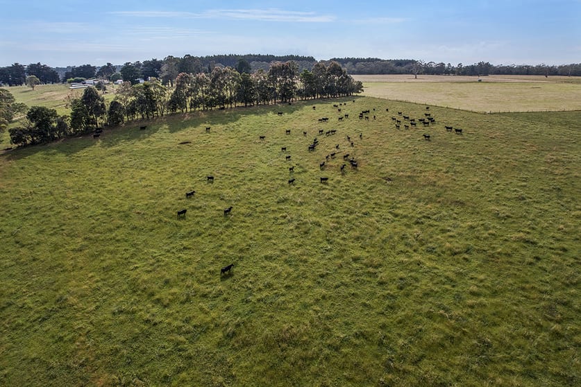 Click to view all images 499 East Greenwald Road Greenwald VIC 3304 - Image 2