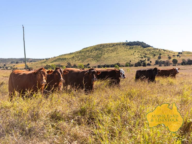 Click to view all images 1278 TOP GURGEENA ROAD Branch Creek QLD 4625 - Image 1