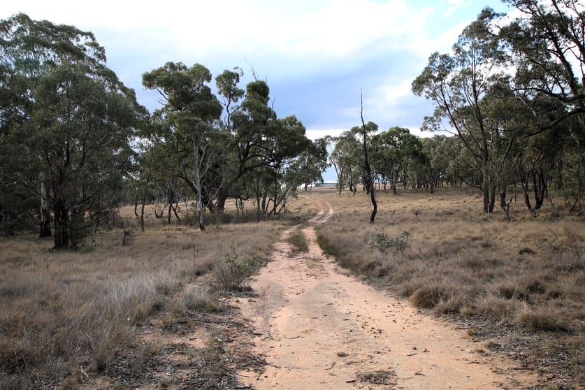 Click to view all images 397 Rothlyn Road Chakola NSW 2630 - Image 1