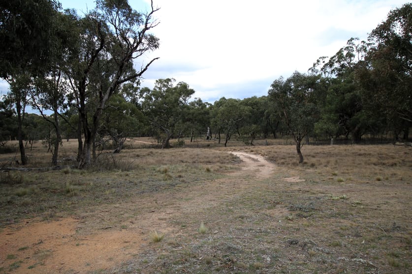 Click to view all images 397 Rothlyn Road Chakola NSW 2630 - Image 2