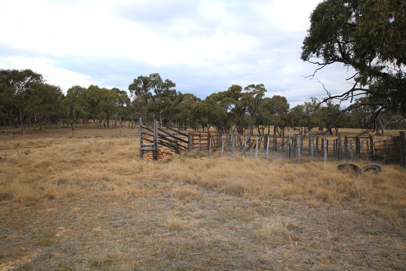 Click to view all images 397 Rothlyn Road Chakola NSW 2630 - Image 3