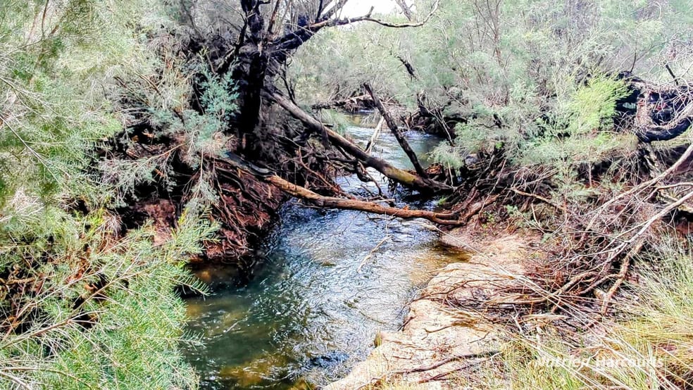 Click to view all images Lot 1389 Orange Springs Road, Orange Springs WA 6503 - Image 3