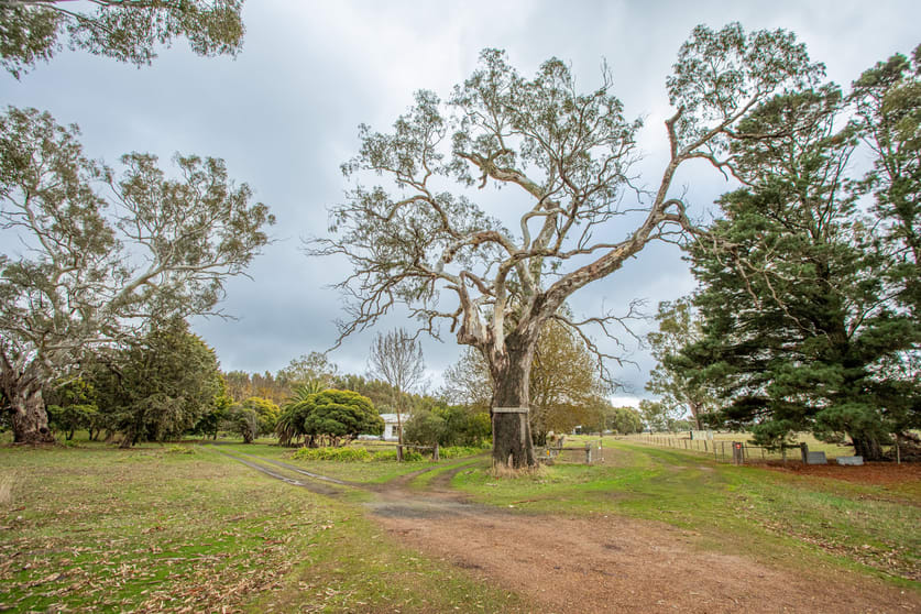 Click to view all images 5215 Casterton-Edenhope Road Kadnook VIC 3318 - Image 3
