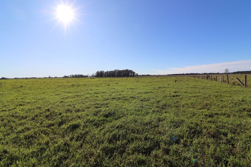 Click to view all images Lot/2 Austral Eden Inner Road Austral Eden NSW 2440 - Image 1