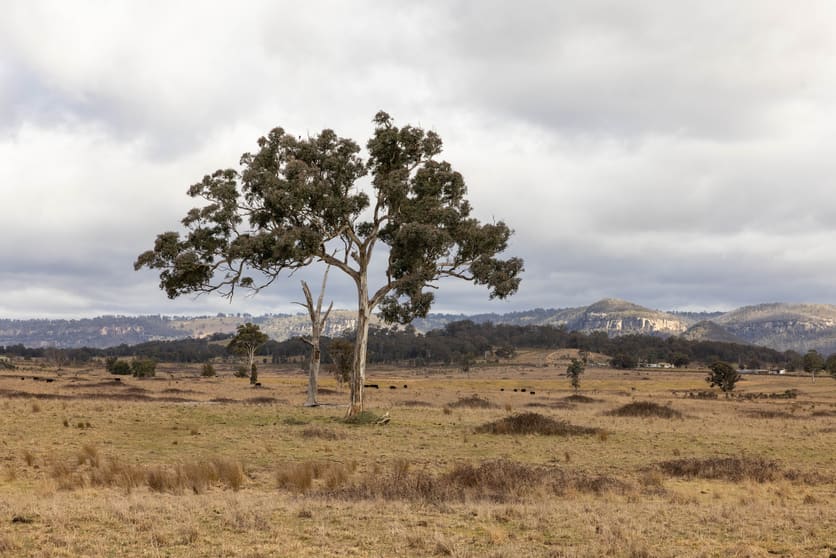 162 Mount View Road Kandos NSW 2848 - Image 1