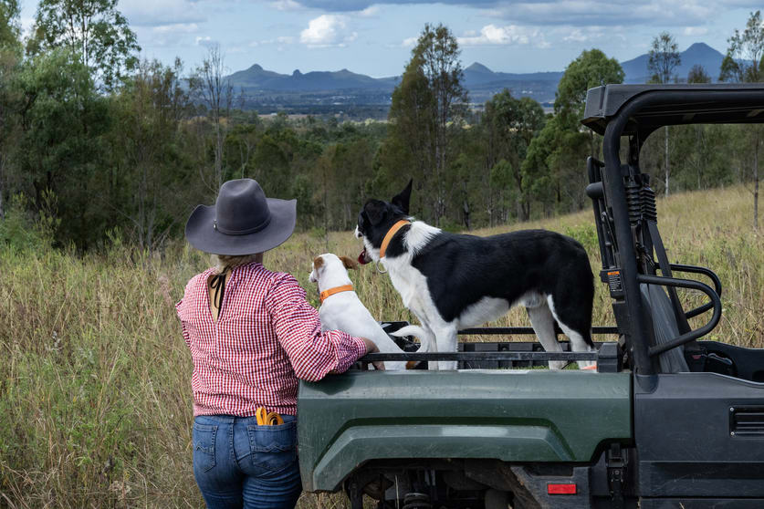 Click to view all images 2584 Rosewood-Warrill View Road Coleyville QLD 4307 - Image 3