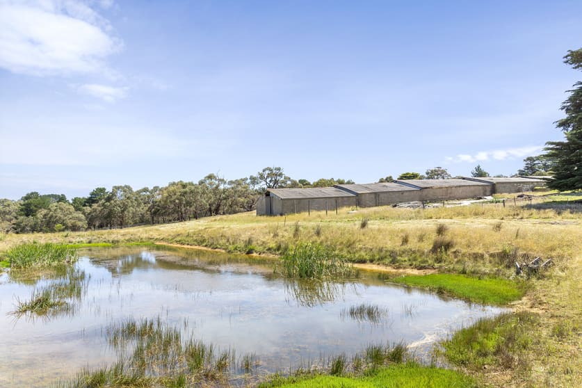 Click to view all images 715 Great Ocean Road Bellbrae VIC 3228 - Image 3